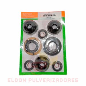 KIT REPARO JP150 - 427930